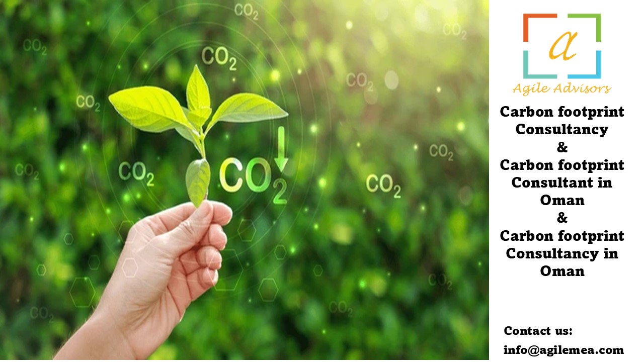 Carbon footprint Consultancy