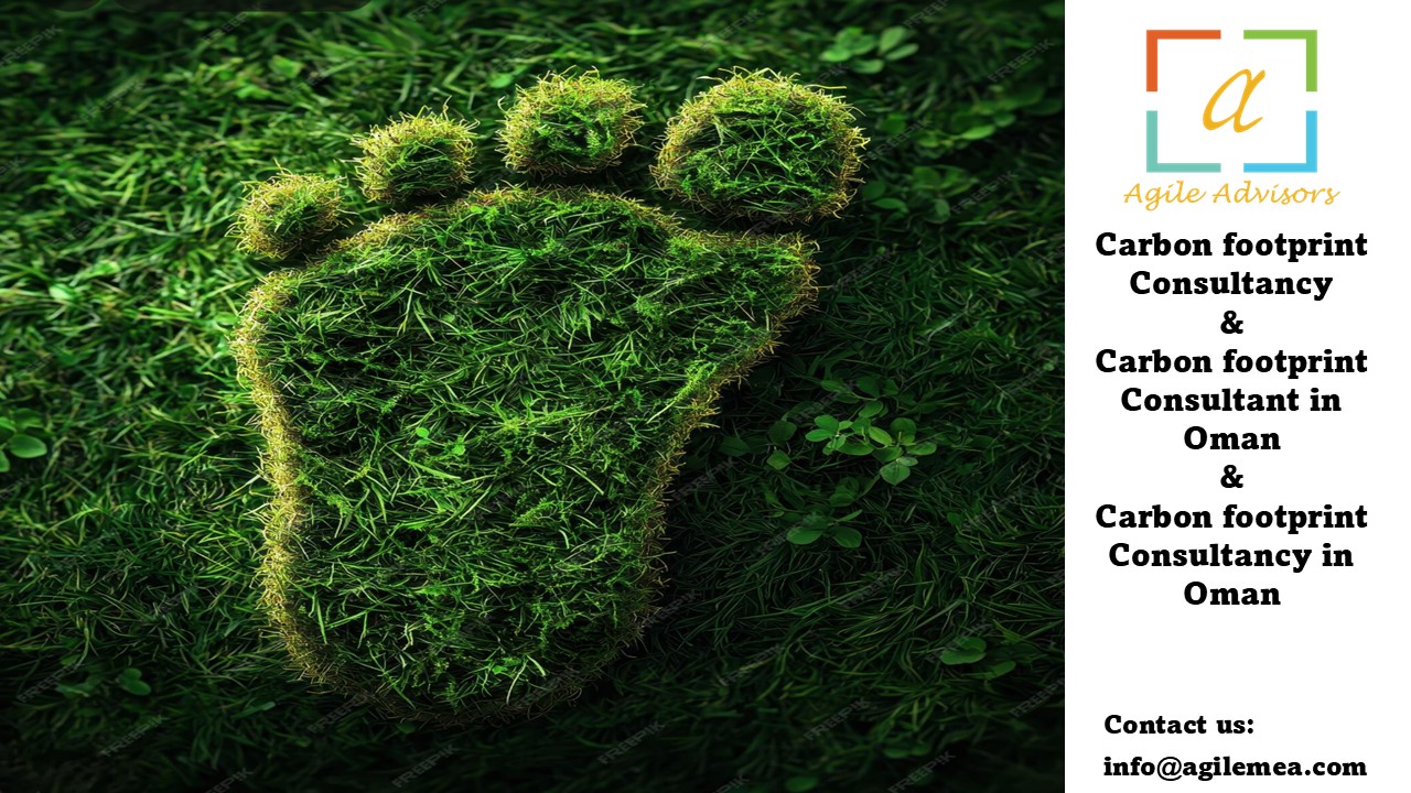 Carbon footprint Consultancy