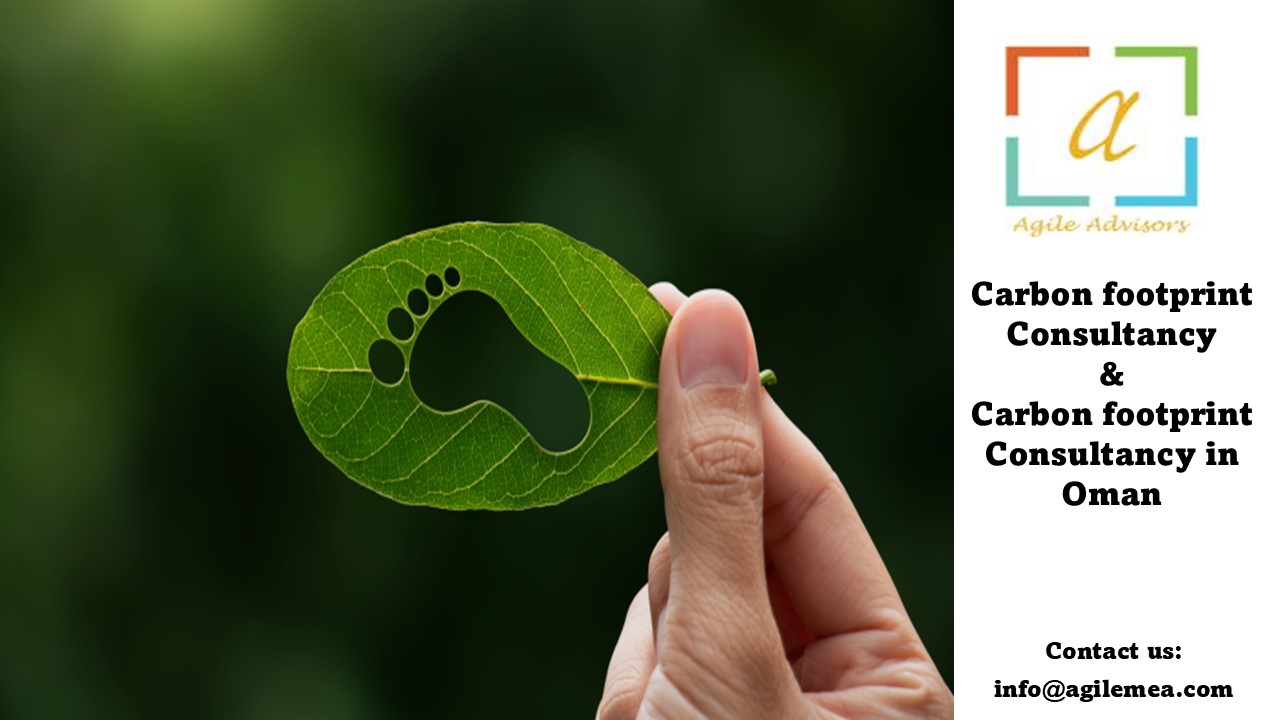 Carbon footprint Consultancy