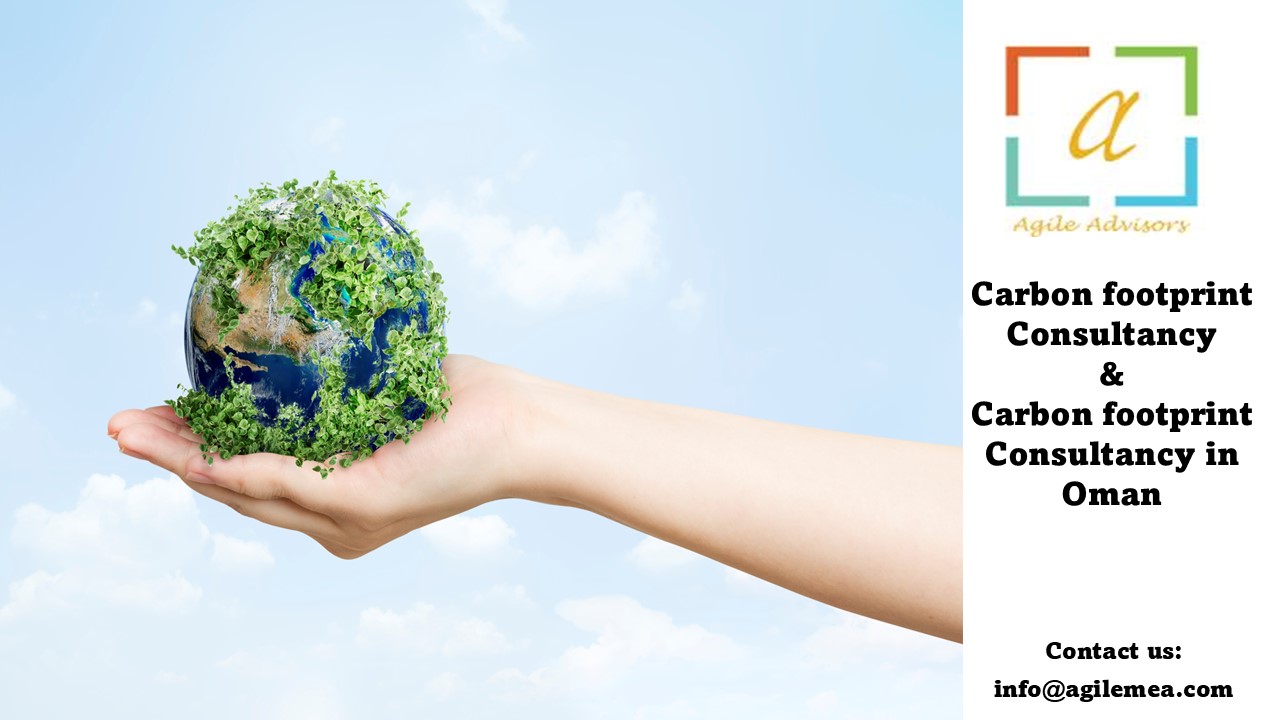 Carbon footprint Consultancy
