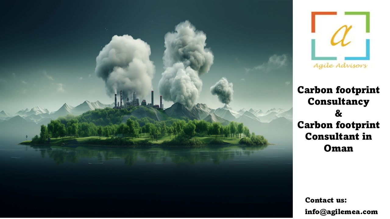 Carbon footprint Consultancy