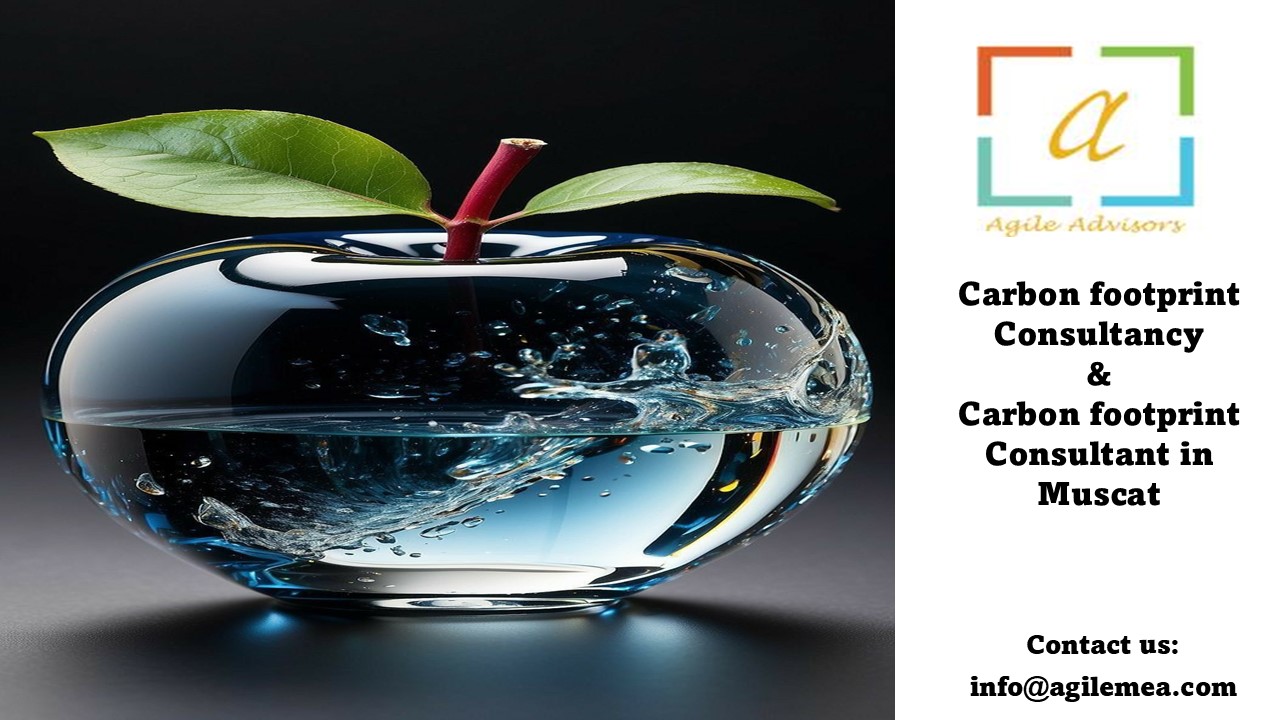 carbon footprint consultancy