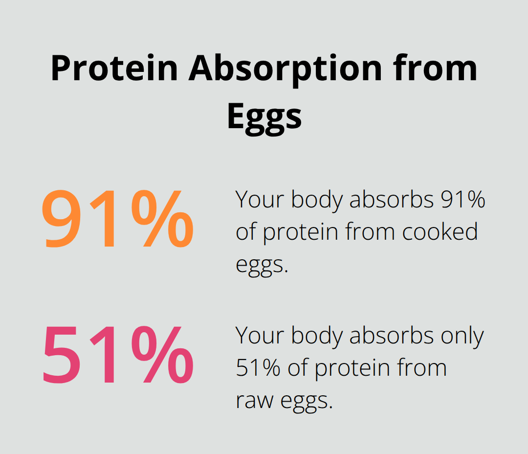 Protein Absorption from Eggs