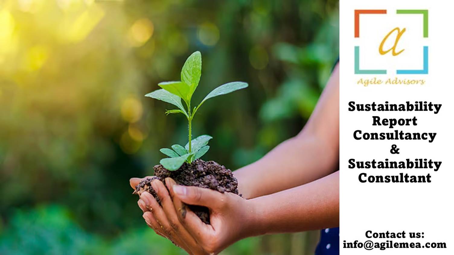 A person holding a small plant
AI-generated content may be incorrect.
