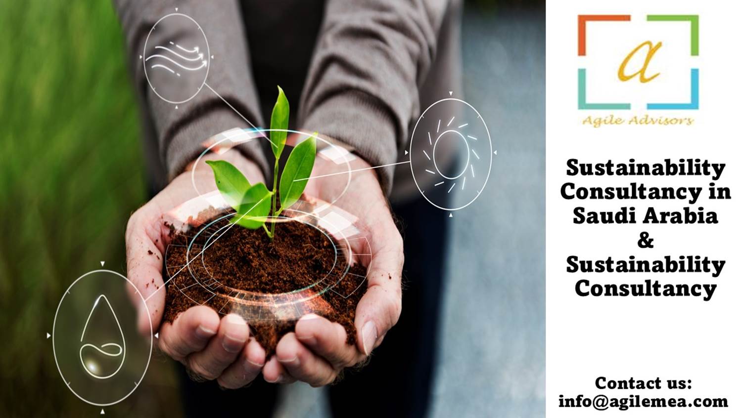 Hands holding a plant in dirt
AI-generated content may be incorrect.