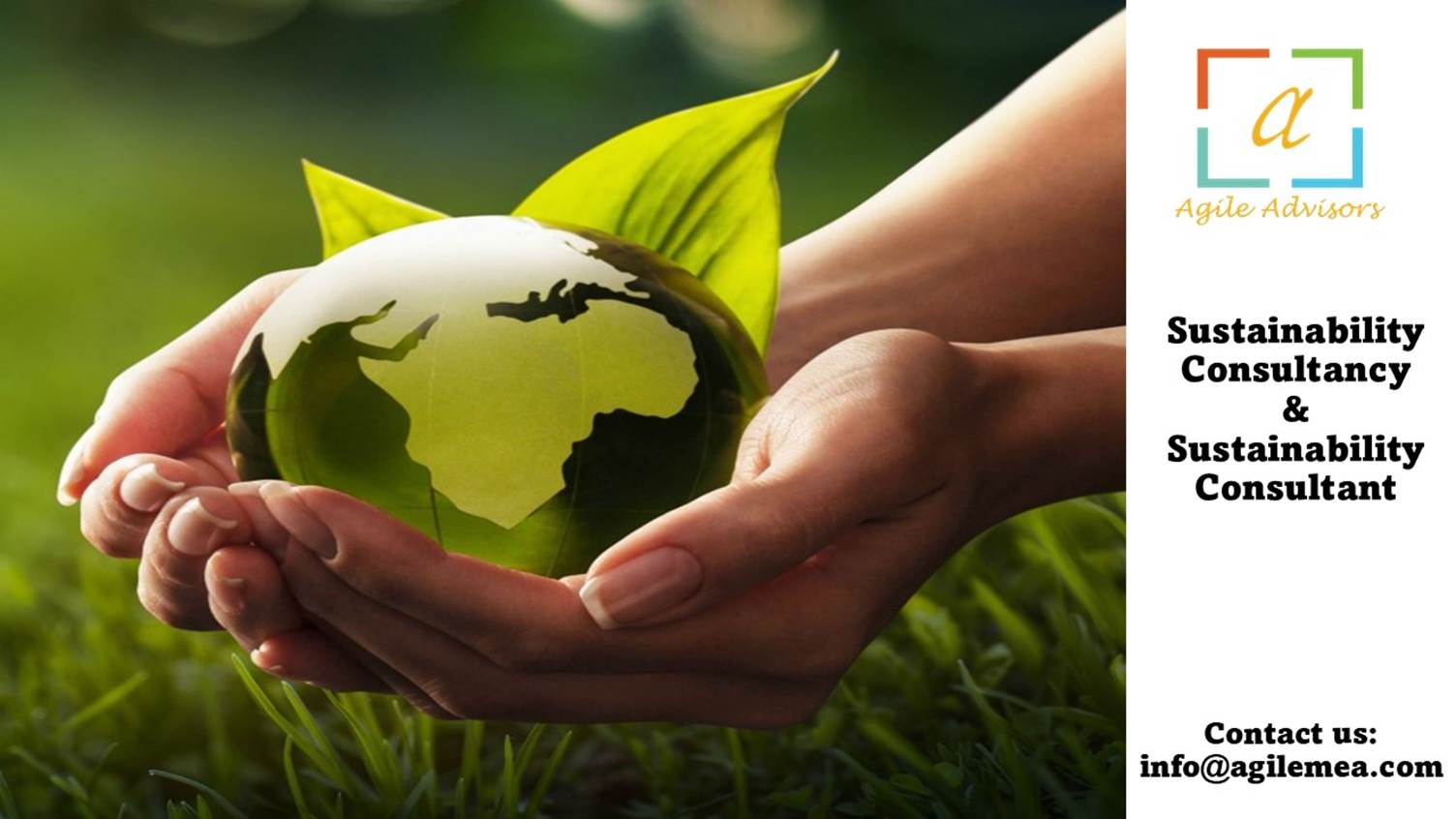 Sustainability Consultancy