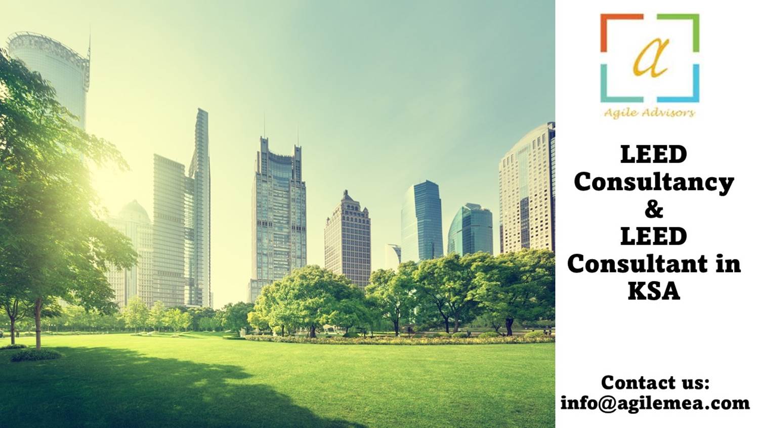 A green lawn with trees and buildings in the background
AI-generated content may be incorrect.
