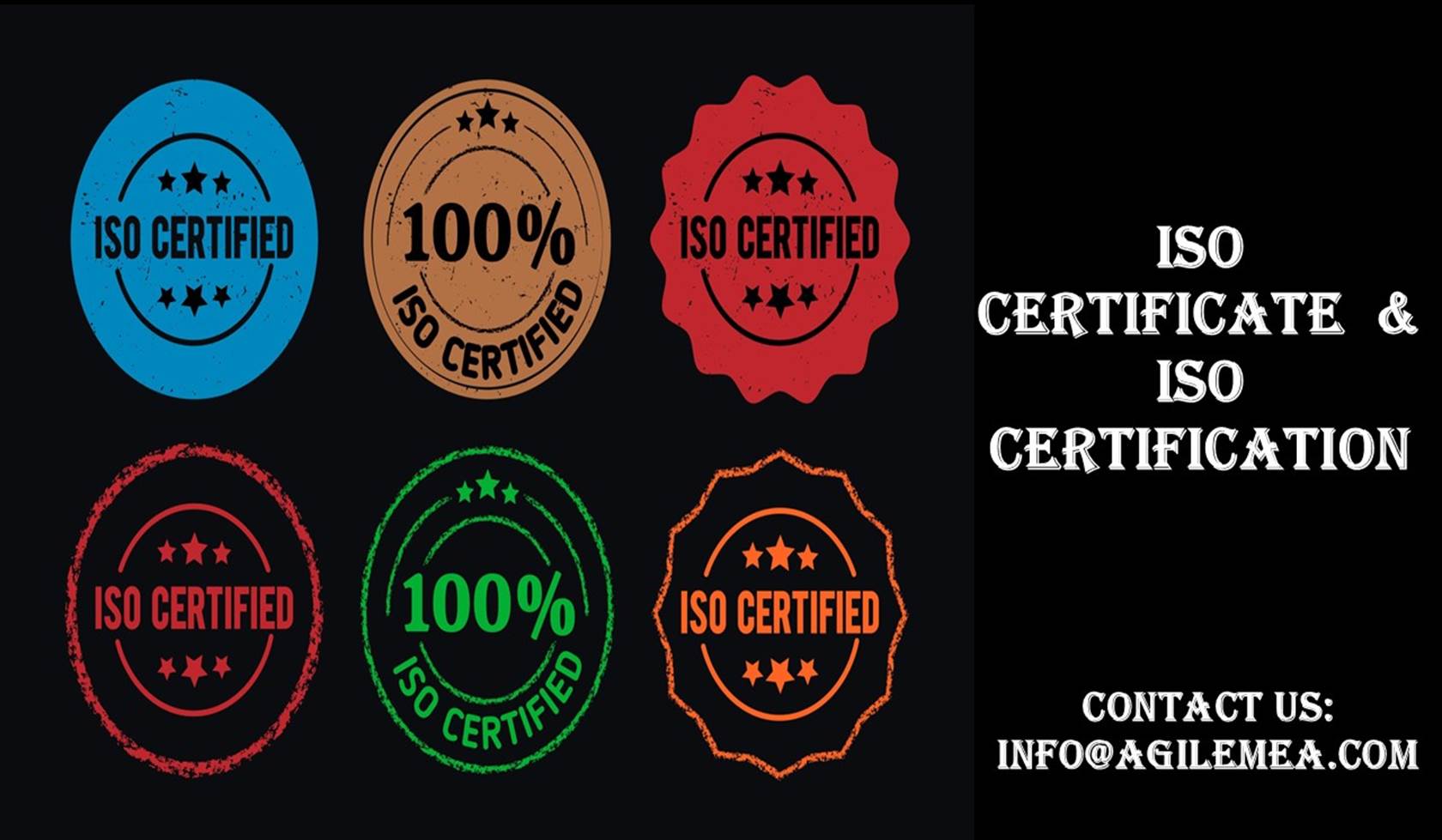 A group of different colored sealsAI-generated content may be incorrect.