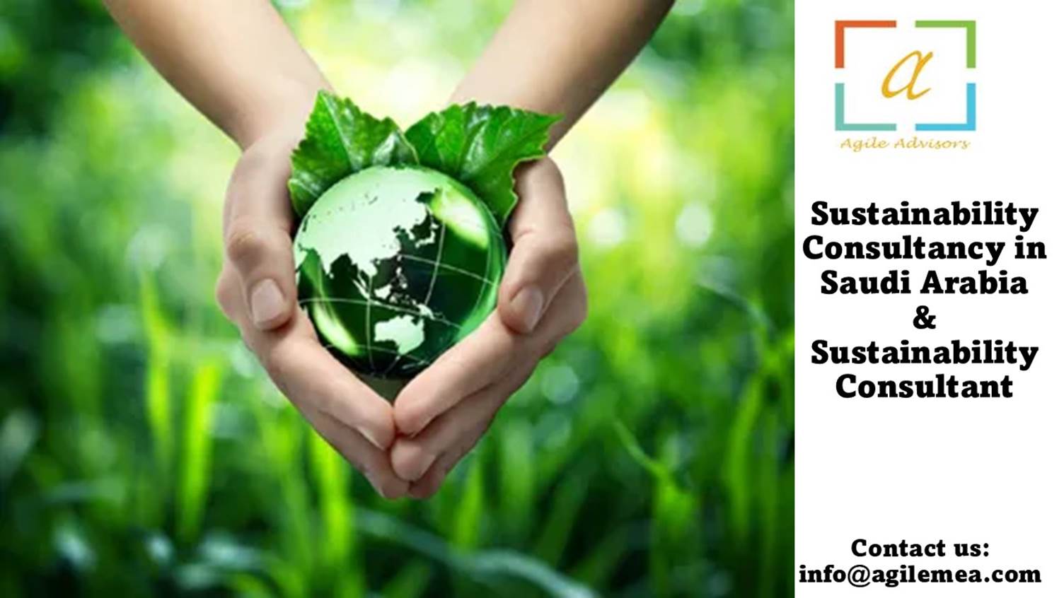 Hands holding a green globe with leaves around it
AI-generated content may be incorrect.