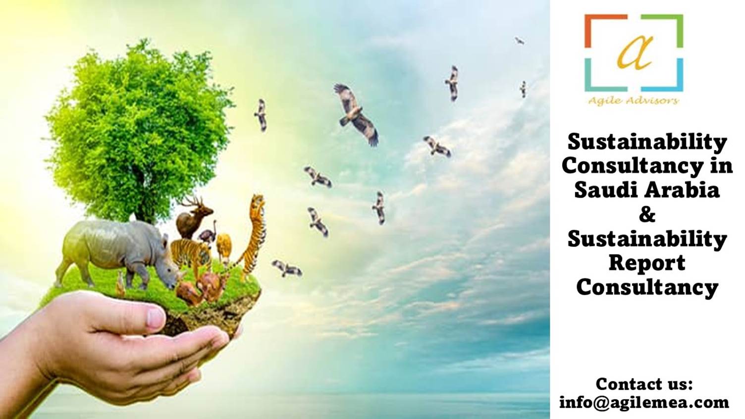 A person holding a small island with birds flying in the air
AI-generated content may be incorrect.