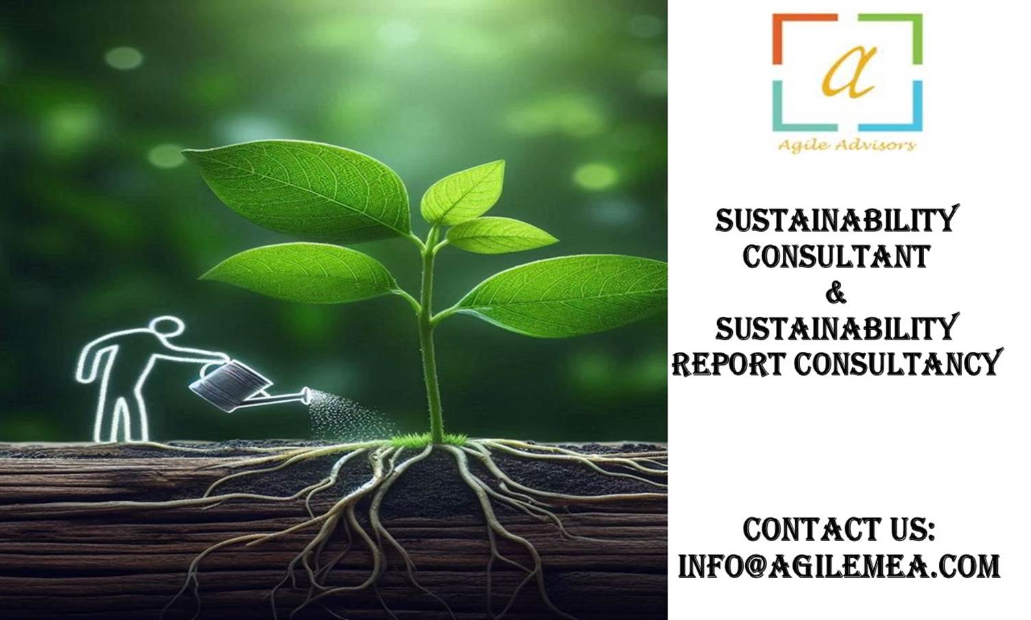 Sustainability Report Consultancy