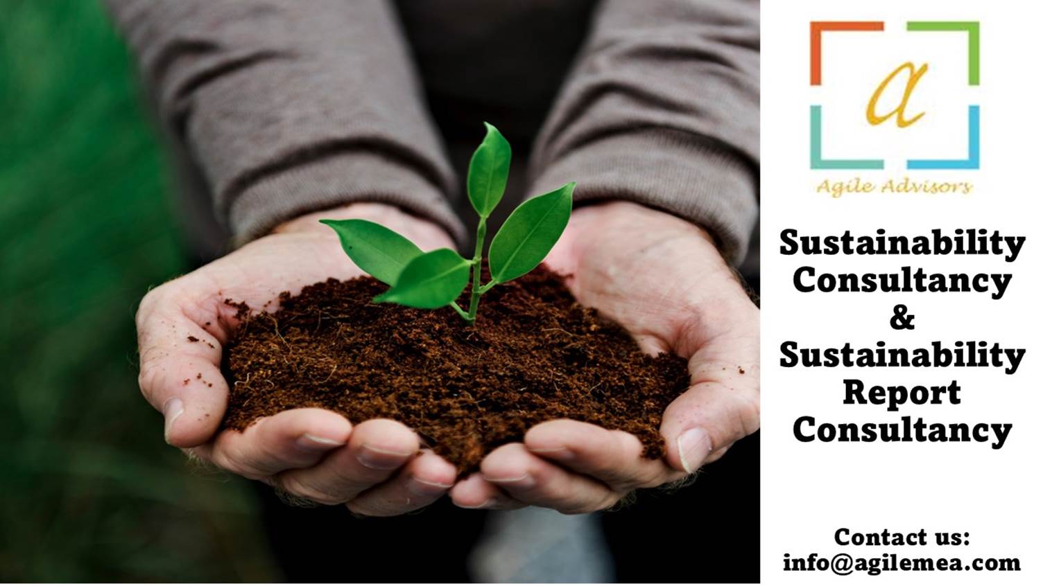 A person holding a small plant in dirt
AI-generated content may be incorrect.