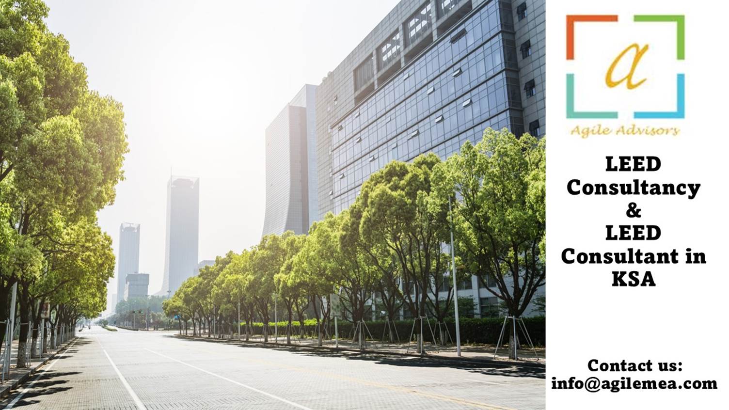A street with trees and buildingsAI-generated content may be incorrect.