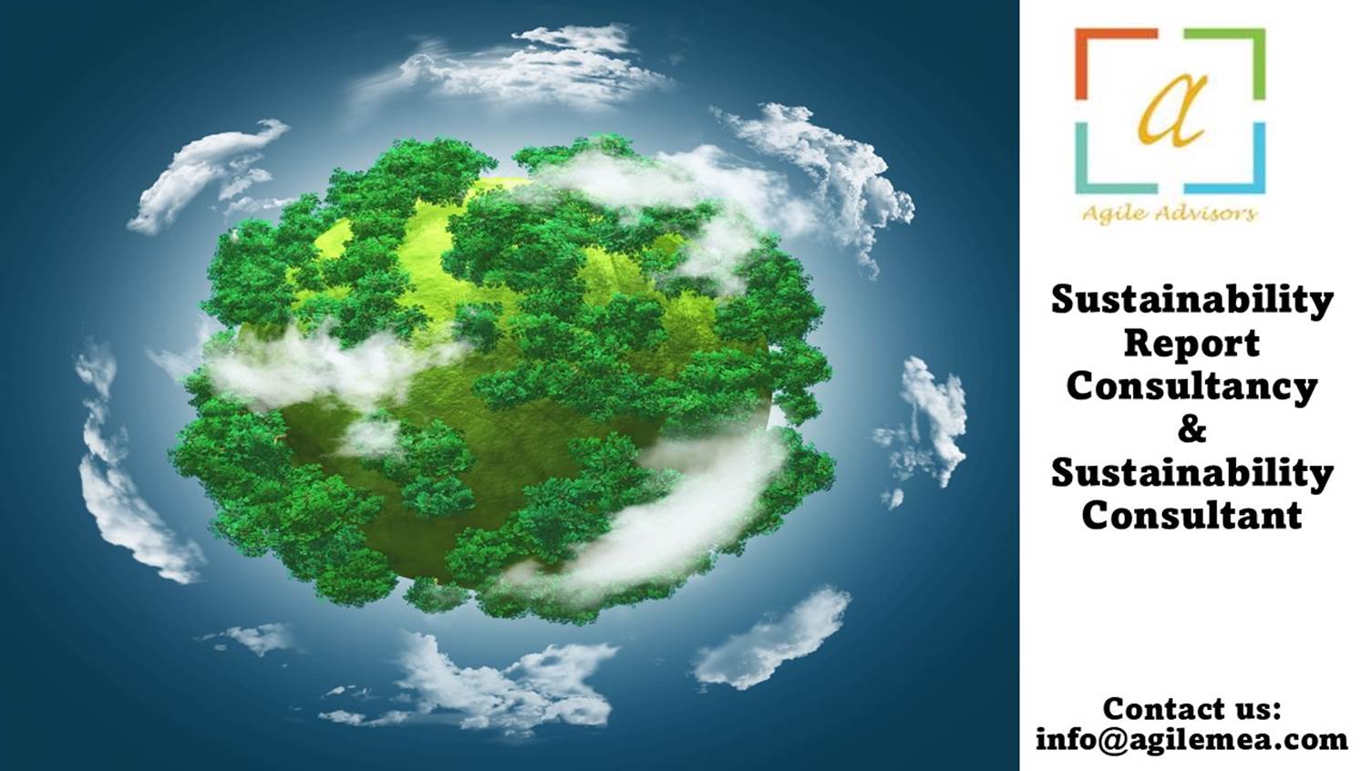 Sustainability Report Consultancy
