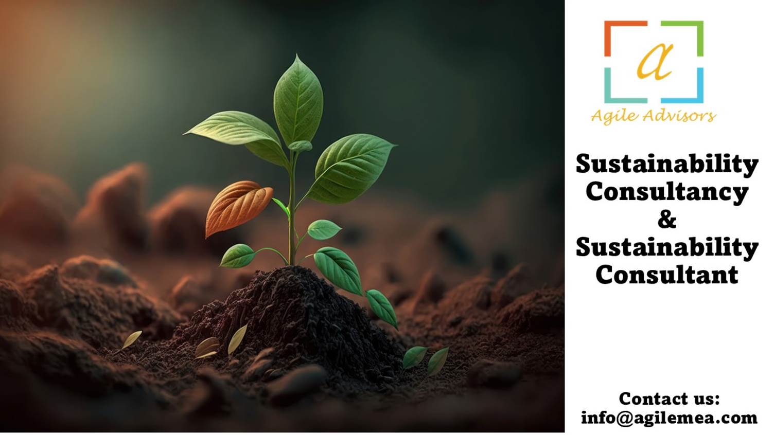 A plant growing out of dirt
AI-generated content may be incorrect.