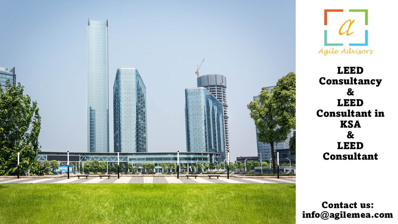 A green lawn with tall buildings in the background
AI-generated content may be incorrect.