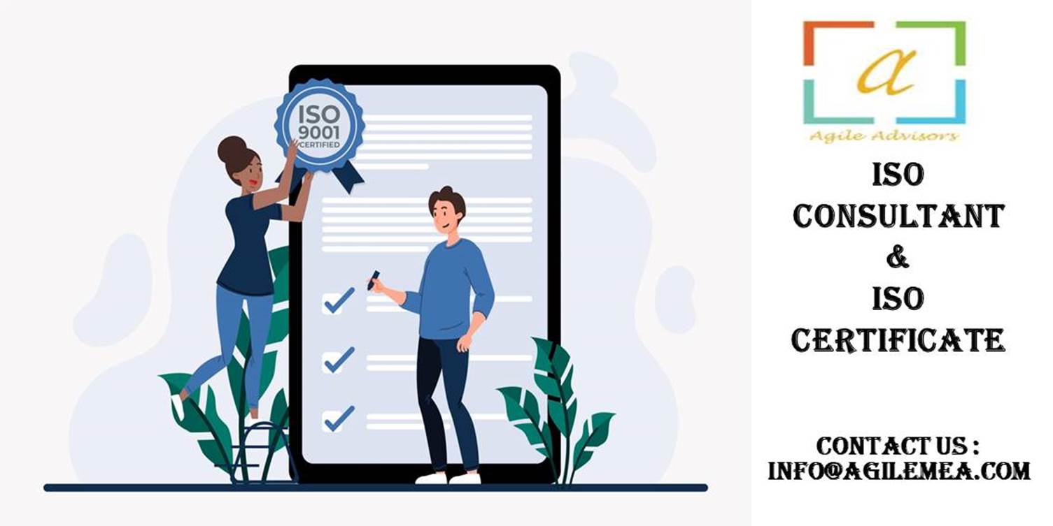 ISO Consultant