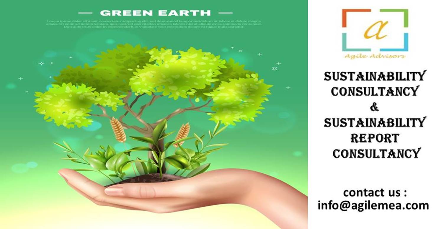 sustainability Consultancy