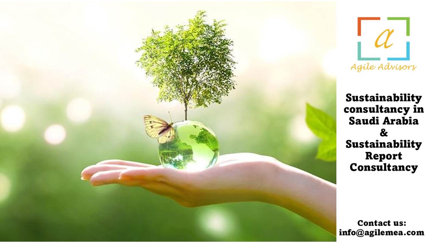 Sustainability Report Consultancy