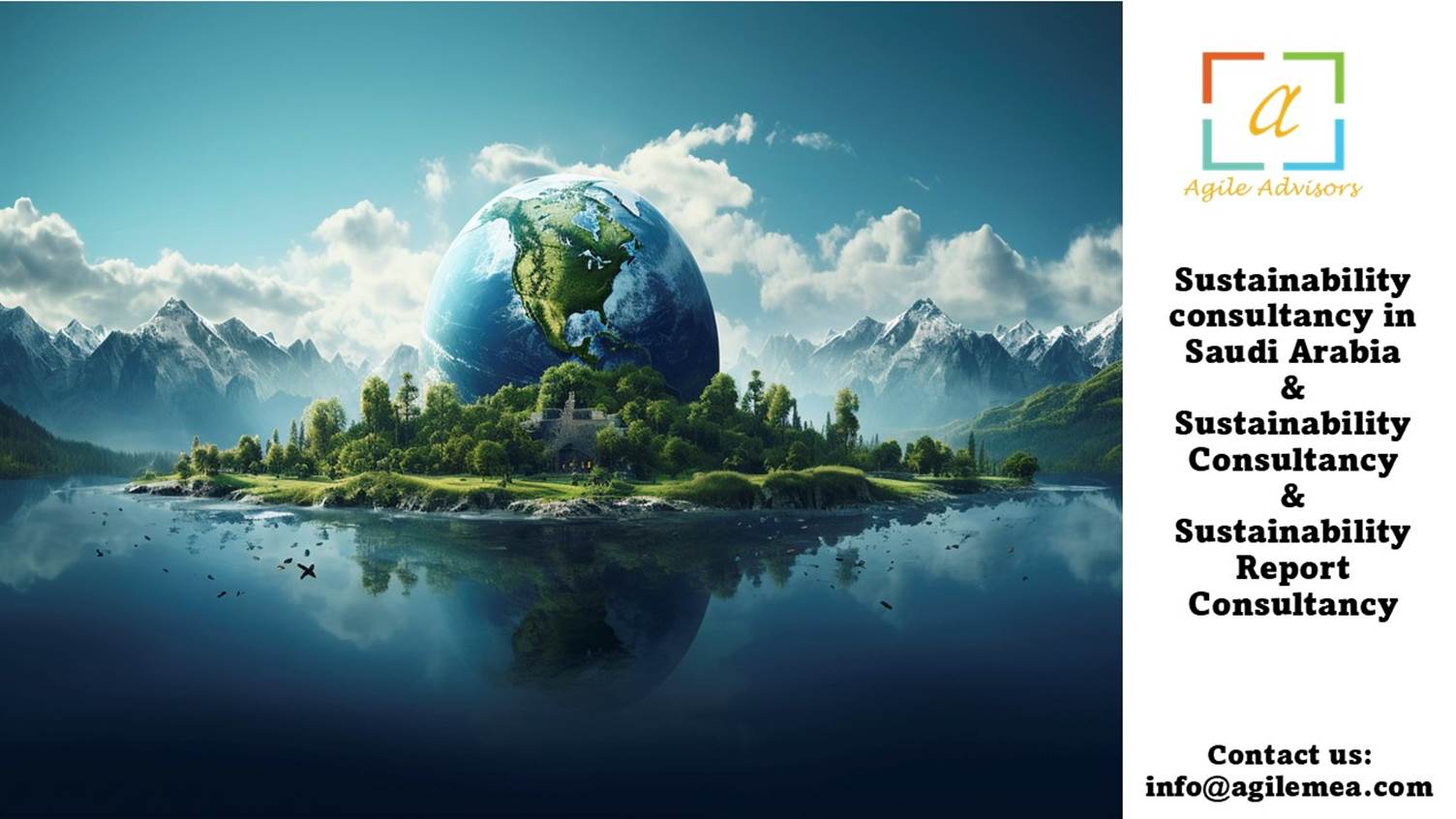 Sustainability Consultancy