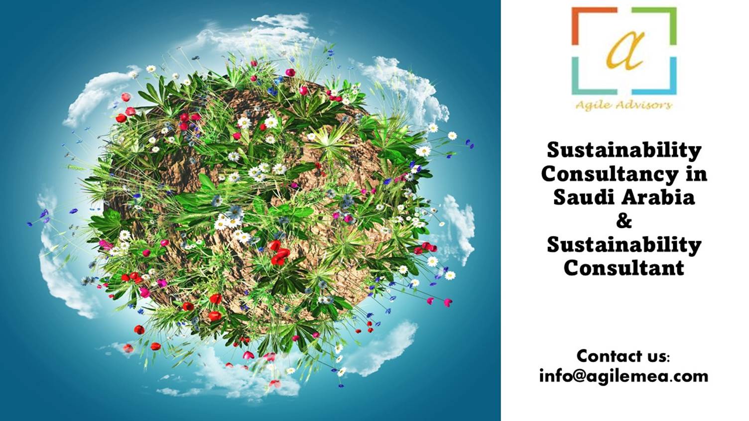 sustainability consultant
