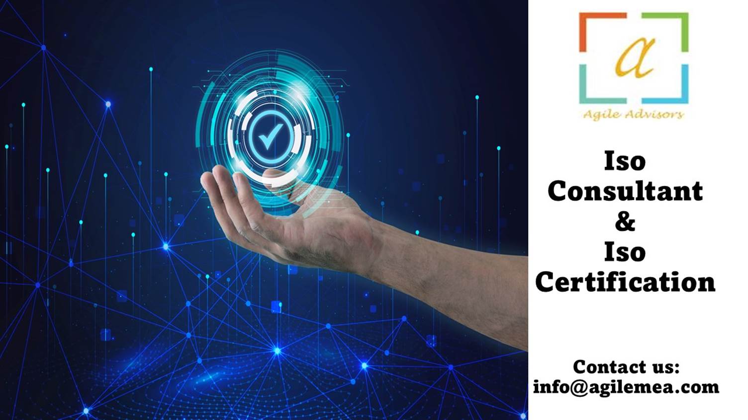 ISO consultant