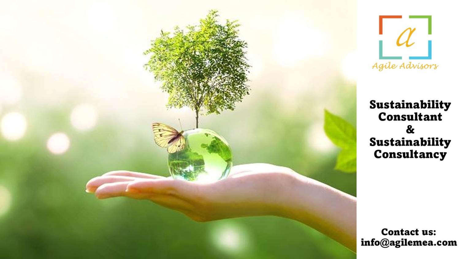 A hand holding a glass ball with a tree on it
AI-generated content may be incorrect.