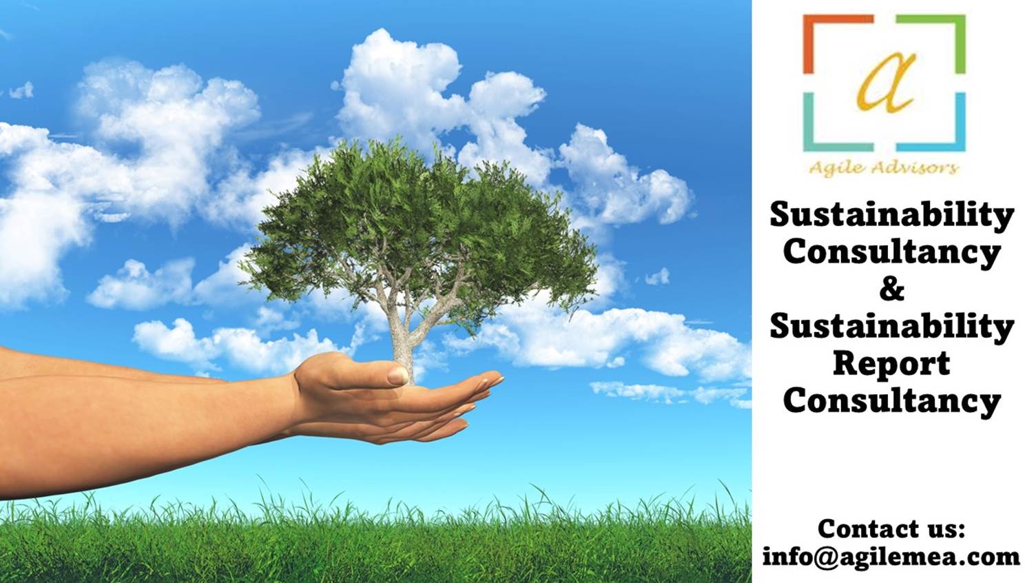 A hand holding a treeAI-generated content may be incorrect.