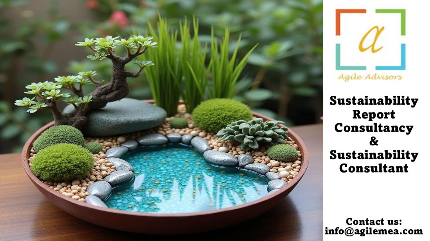 A small potted plant with a pond and plantsAI-generated content may be incorrect.