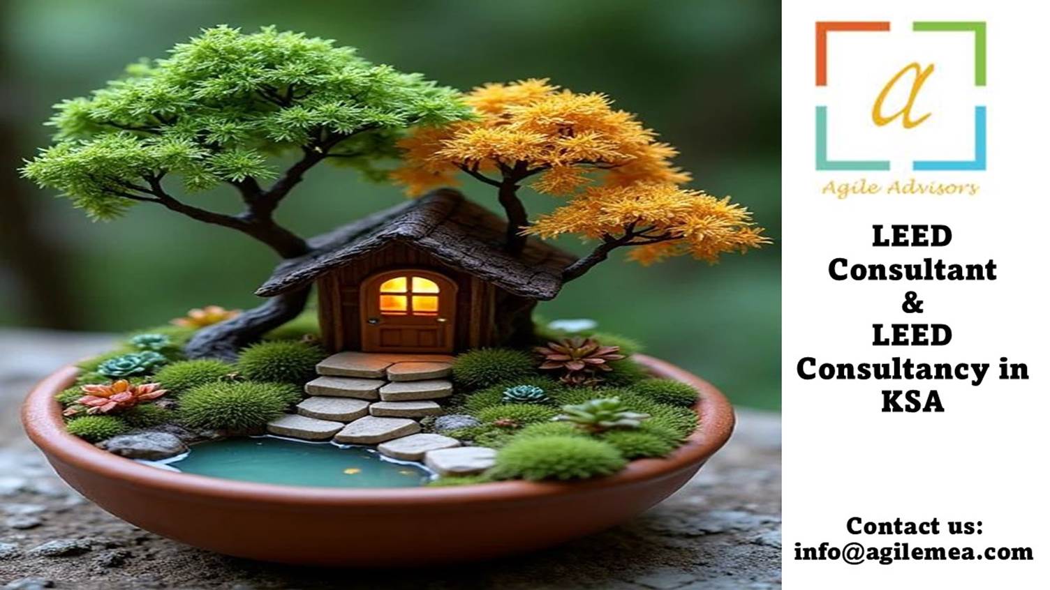A small house in a bowlAI-generated content may be incorrect.