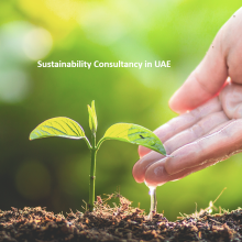 Sustainability consultancy