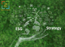 ESG Strategy