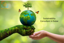Sustainability constanacy,