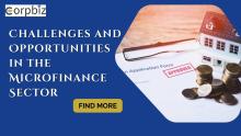Challenges and Opportunities in the Microfinance Sector 