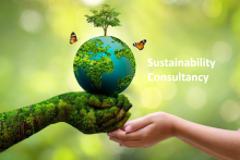 Agile Advisors provides expert sustainability consultancy in Oman, supporting businesses with ESG strategies, compliance, and sustainable growth.