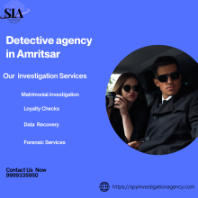 Detective Agency in Amritsar
