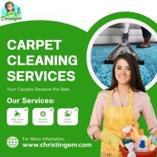 Professional Carpet Cleaning Services in Houston, TX