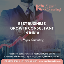 best business growth consultant in India