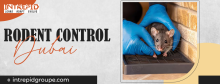  rodent control in Dubai