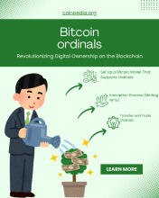 Bitcoin Ordinals