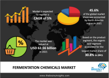 fermentation chemicals market