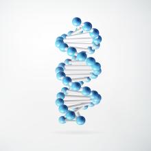 Chemical Structure Search Services 
