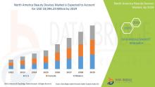 North American beauty devices market 