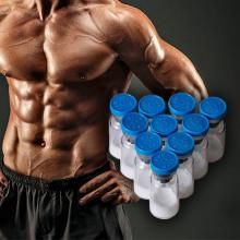 Body Building Supplements