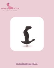 Waterproof Anal Vibrator