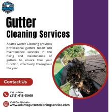 Gutter Cleaning Services