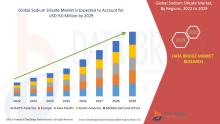 Sodium Silicate Market