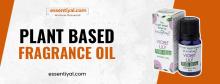 Plant-Based Fragrance Oils: Nature’s Essence in Every Drop