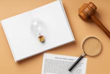 Intellectual Property Attorney