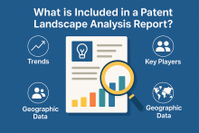 What Does a Patent Landscape Analysis Report Contain